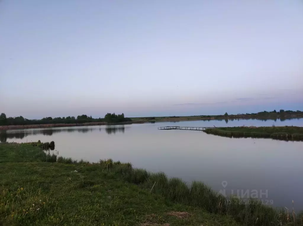 Участок в Владимирская область, Александровский район, Андреевское ... - Фото 0