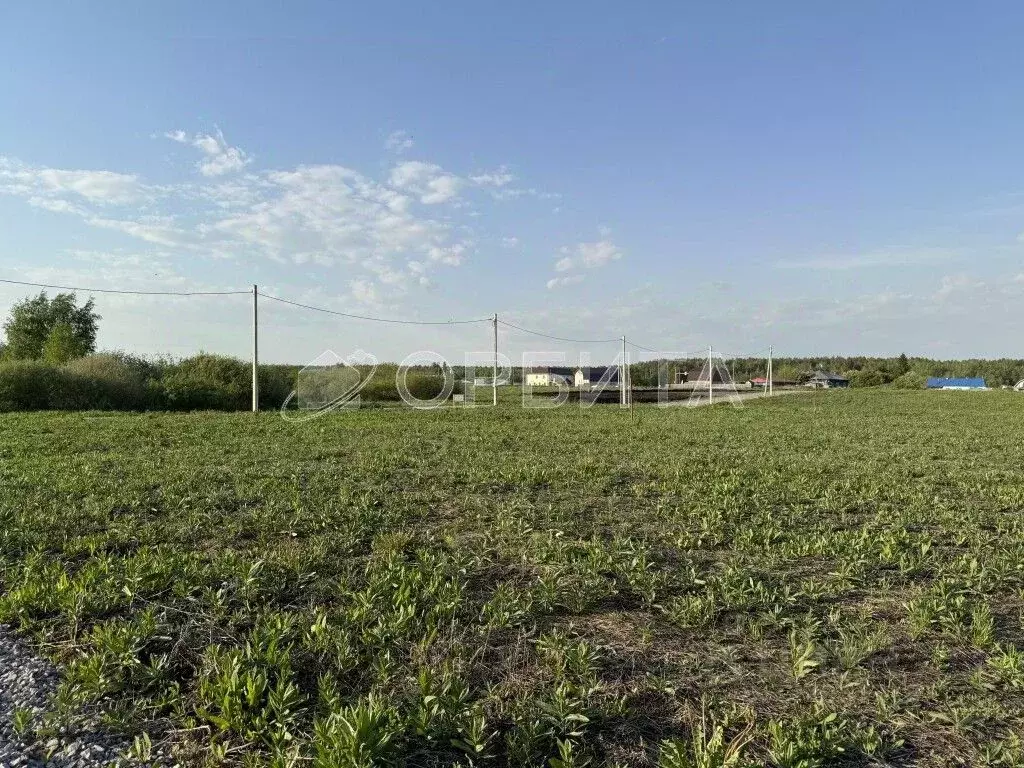 Участок в Свердловская область, Тугулымский муниципальный округ, с. ... - Фото 2