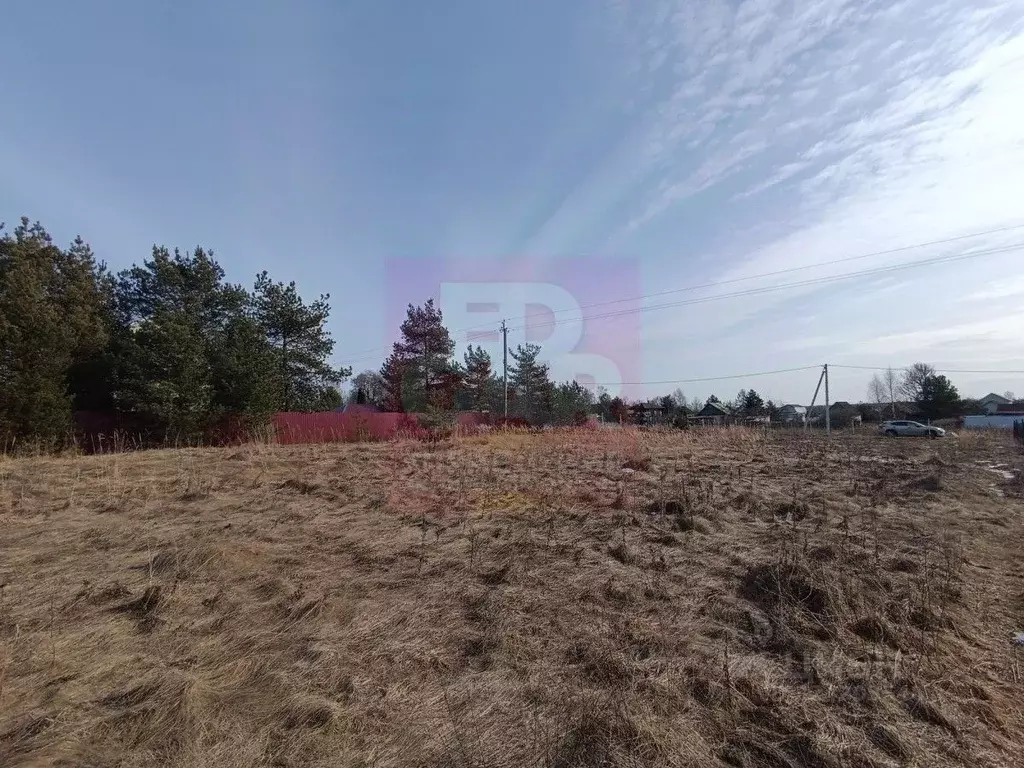 Участок в Ярославская область, Некрасовский муниципальный округ, с. ... - Фото 2