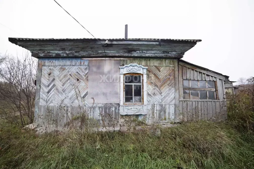 Дом в Новосибирская область, Коченевский район, с. Катково Заозерная ... - Фото 1