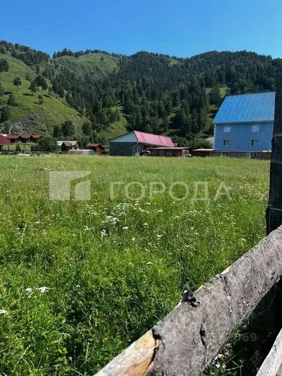 Участок в Алтай, Чемальский район, Элекмонарское с/пос, с. Элекмонар ... - Фото 1