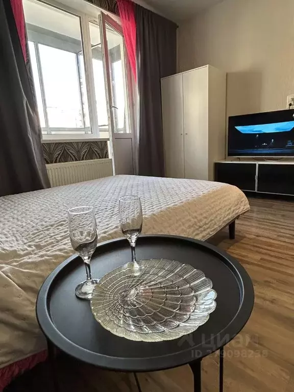 Студия Санкт-Петербург ул. Плесецкая, 10 (25.7 м) - Фото 1