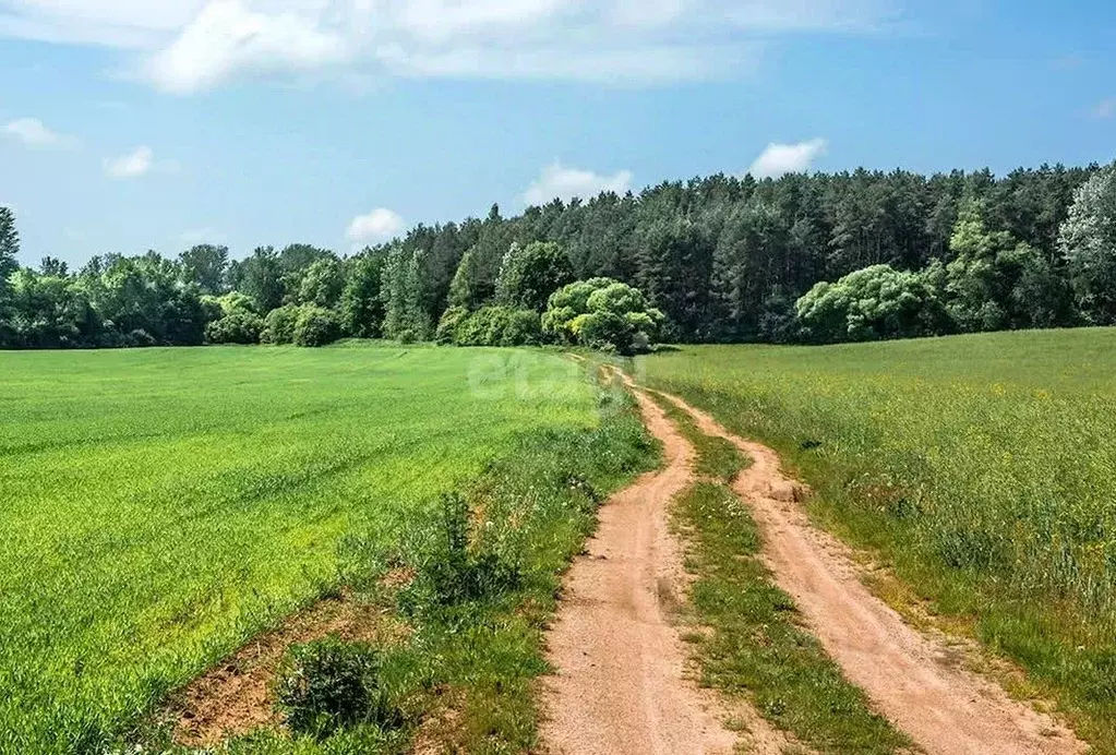 Участок в Свердловская область, Нижнесергинский район, Дружининское ... - Фото 1