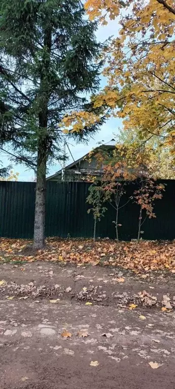 дом в владимирская область, суздальский район, новоалександровское . - Фото 1