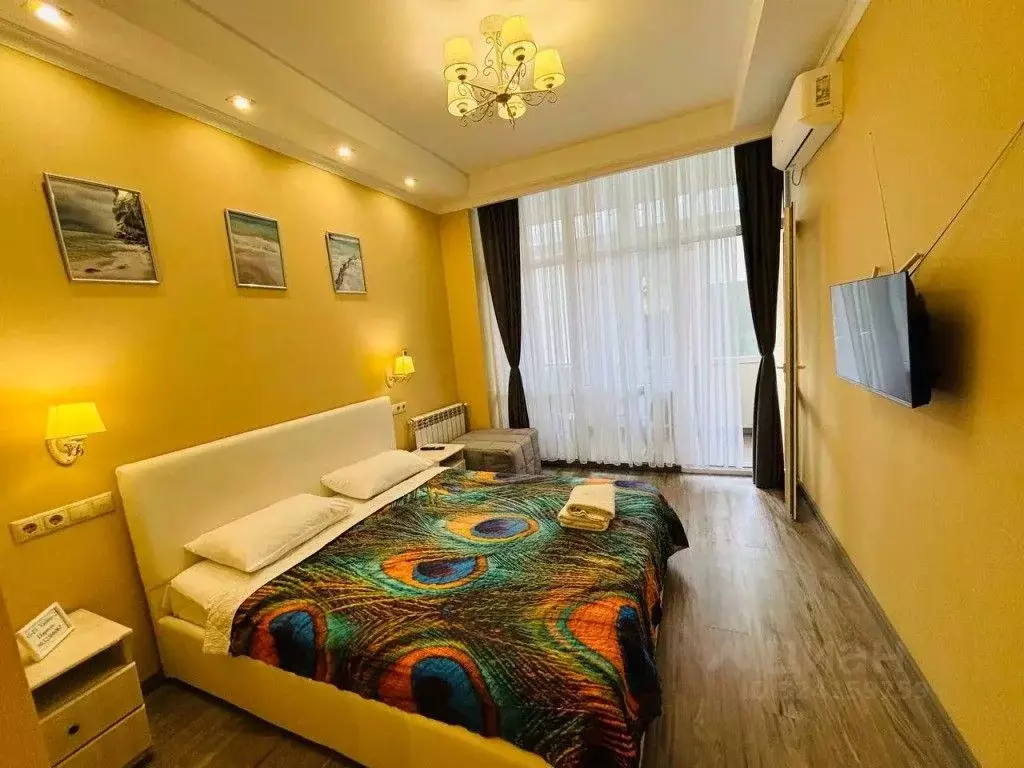 1-к кв. Краснодарский край, Сочи Курортный просп., 75к1 (25.0 м) - Фото 2