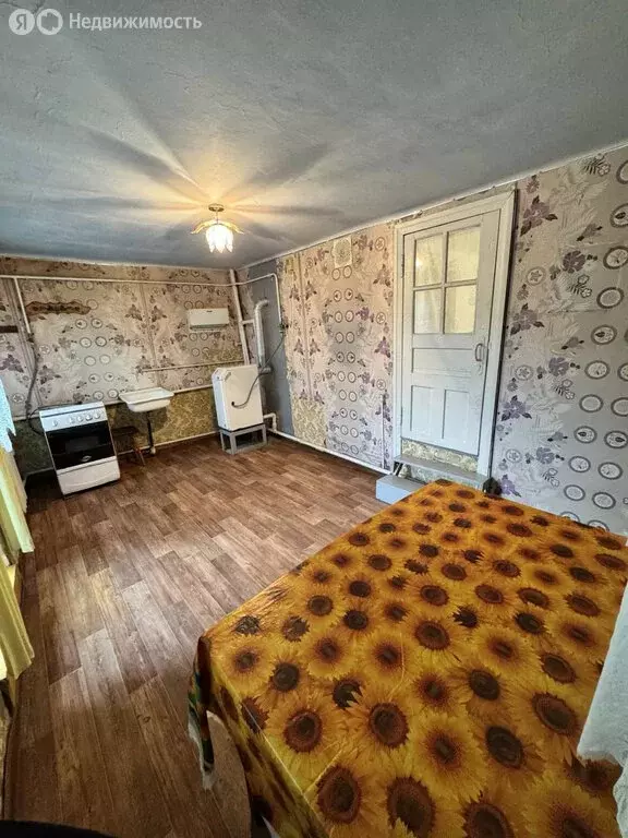 Дом в село Гайдук, улица Шевченко, 17 (100 м) - Фото 1