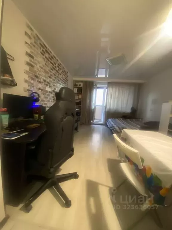 Студия Санкт-Петербург ул. Шкапина, 9-11 (29.5 м) - Фото 2