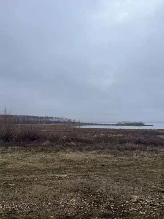 Участок в Челябинская область, Аргаяшский район, Байрамгуловское ... - Фото 1