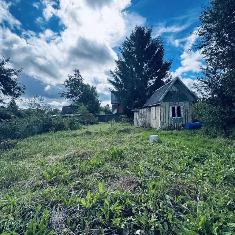 Участок в Калининградская область, Калининград Пчелка СТ, проезд 17-й ... - Фото 2