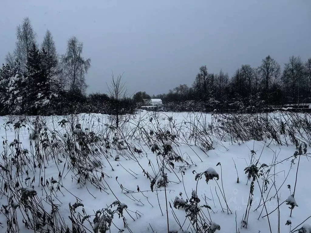 Участок в Московская область, Ступино городской округ, д. Старокурово  ... - Фото 2