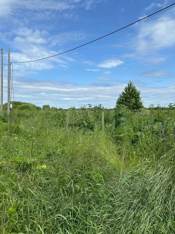 Участок 12,4 сот. (СНТ, ДНП) - Фото 1