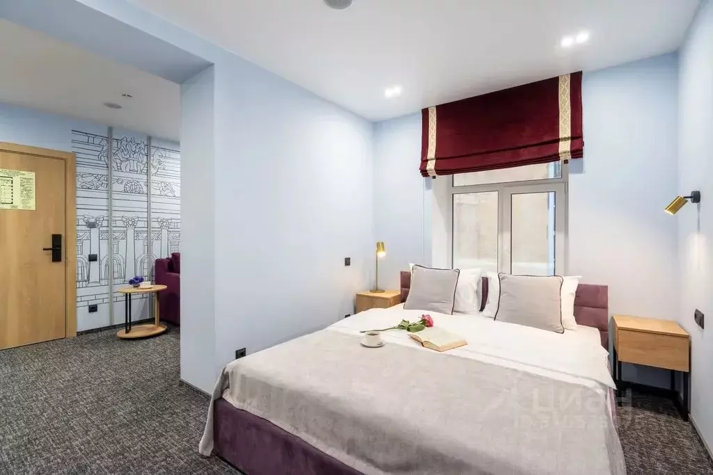 Комната Санкт-Петербург ул. Некрасова, 25Б - Фото 2