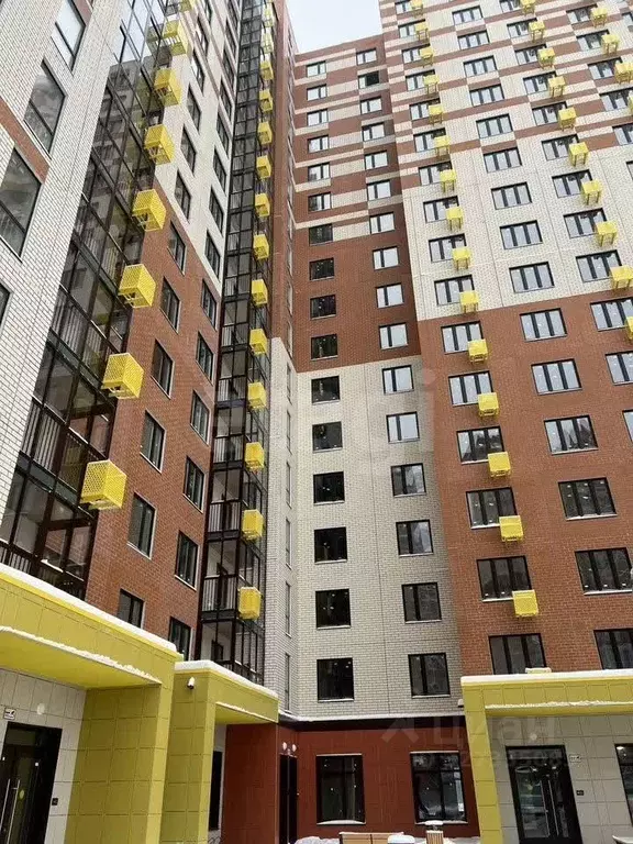 Студия Московская область, Балашиха ул. Дмитриева, 3 (20.55 м) - Фото 1