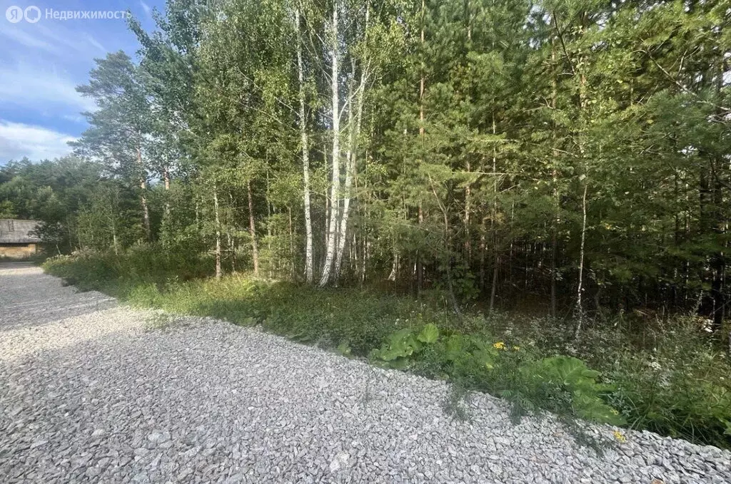 Участок в Заречный, Фестивальная улица (37.5 м) - Фото 0