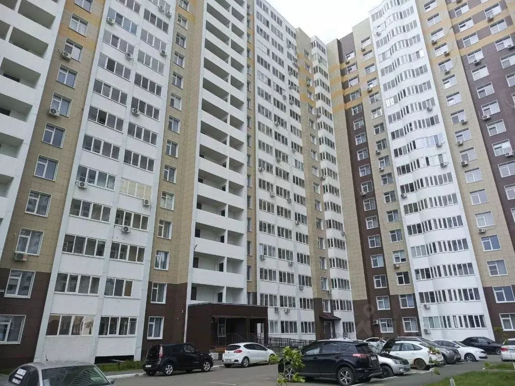 2-к кв. Оренбургская область, Оренбург Уральская ул., 2/24 (38.0 м) - Фото 1