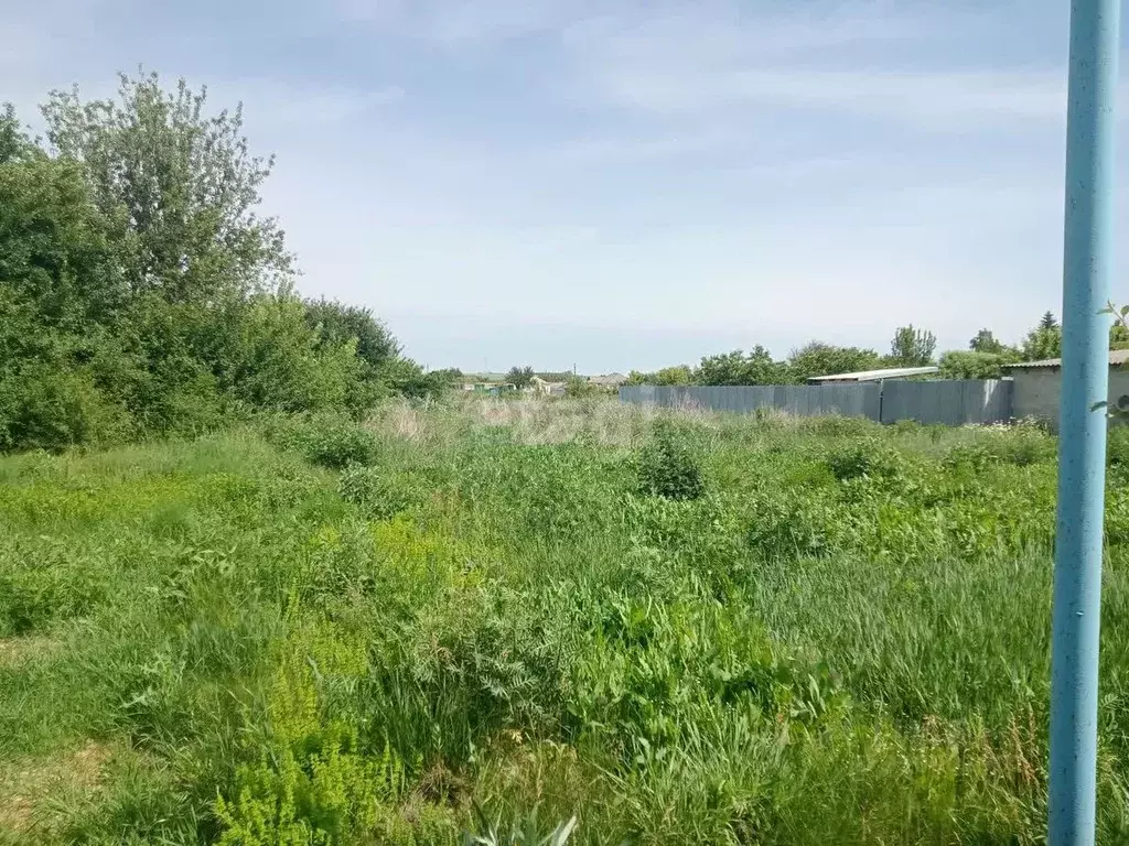 Участок в Белгородская область, Волоконовка рп пл. Центральная (15.0 ... - Фото 0
