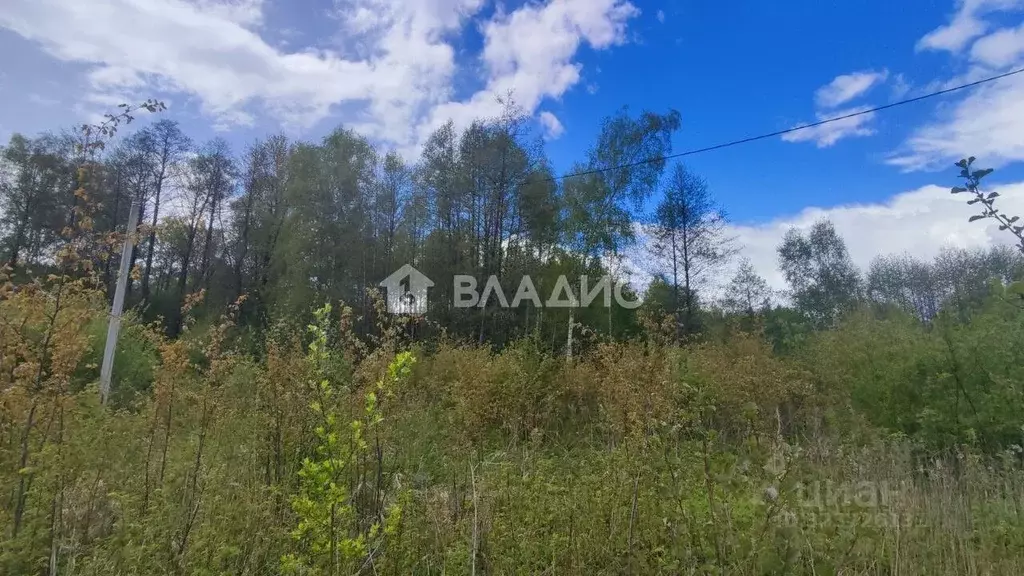 Участок в Калужская область, Перемышльский муниципальный округ, ... - Фото 2