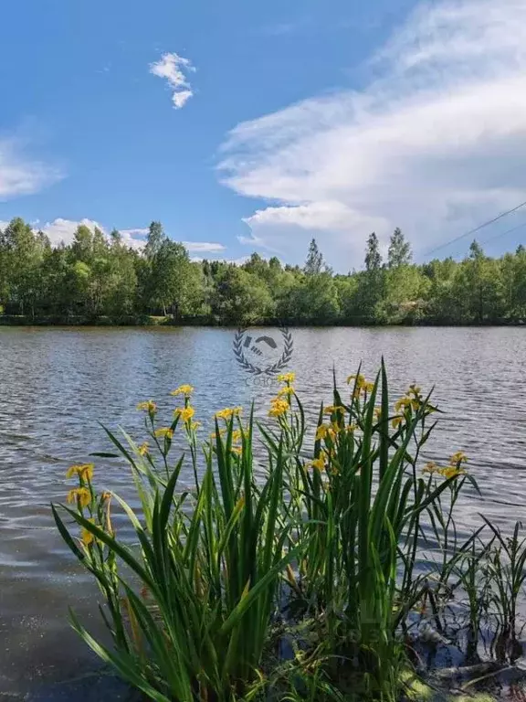 Участок в Калужская область, Перемышльский район, Большие Козлы с/пос, ... - Фото 0