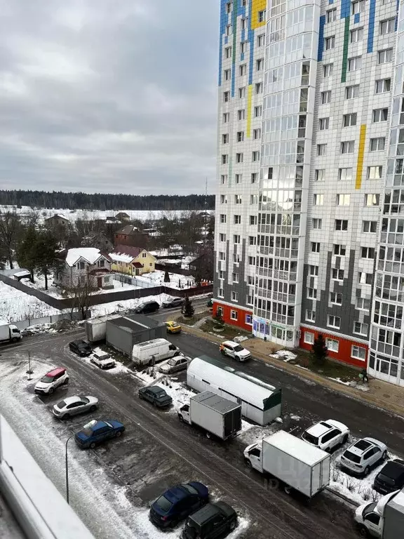 1-к кв. Московская область, Солнечногорск городской округ, Голубое пгт ... - Фото 0