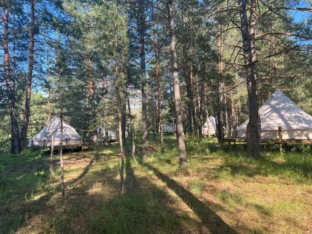 Помещение свободного назначения в Самарская область, Ставропольский ... - Фото 0