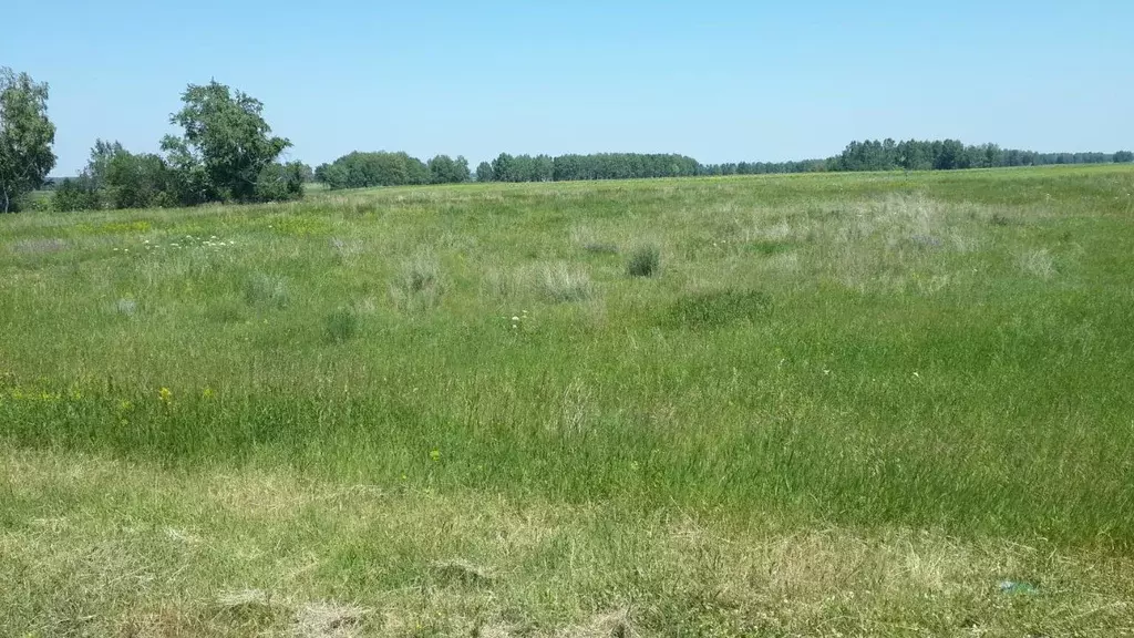 Ижс ивановское чеховский район. Снт глинки 1-2 ленинградская обл. Участки в первомайском районе. Снт глинки ступинский район. Застелить 12 соток лен.