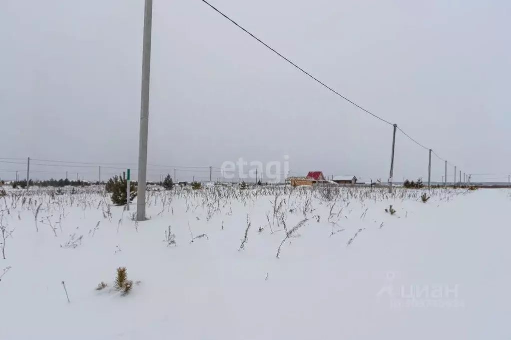 Участок в Тюменская область, Тюменский район, д. Елань, Австралия кп  ... - Фото 1