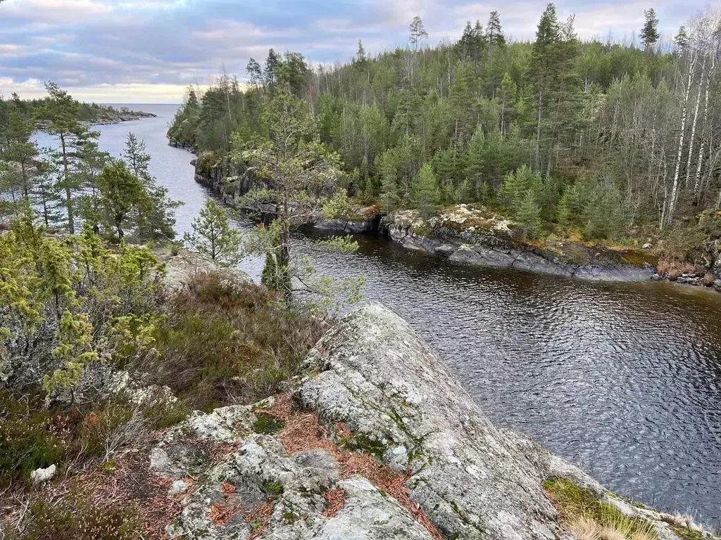 Дом в Карелия, Лахденпохский муниципальный округ  (80 м) - Фото 1