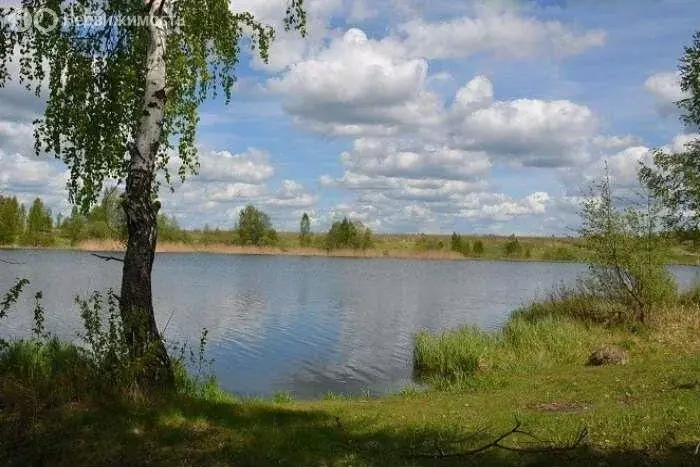 Дом в Вороново, улица Сланова, 14 (70 м) - Фото 0