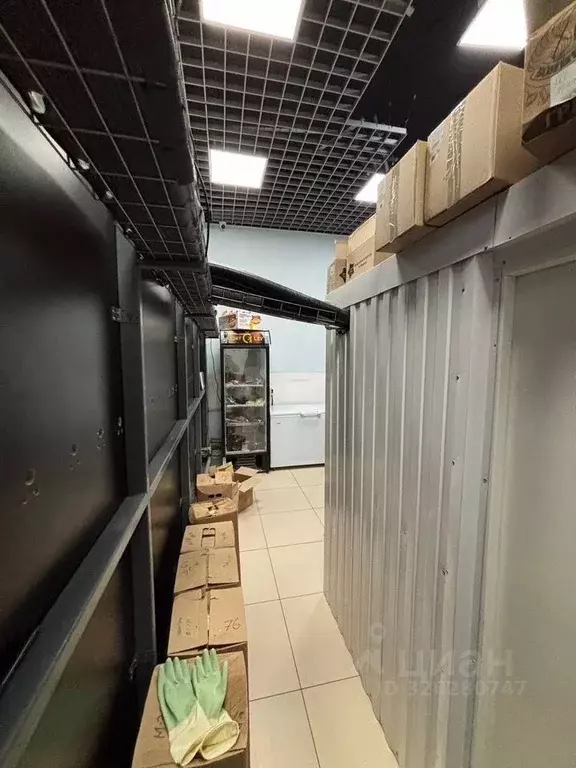 Помещение свободного назначения в Белгородская область, Белгородский ... - Фото 1