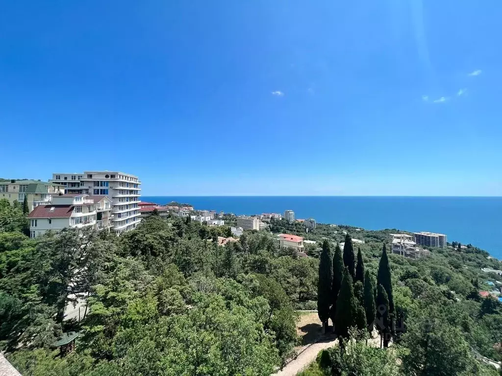 Свободной планировки кв. Крым, Ялта муниципальный округ, Гаспра пгт ш. ... - Фото 2