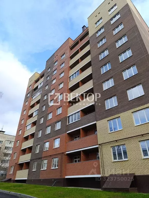 2-к кв. Костромская область, Кострома проезд 7-й Окружной, 11 (74.0 м) - Фото 1