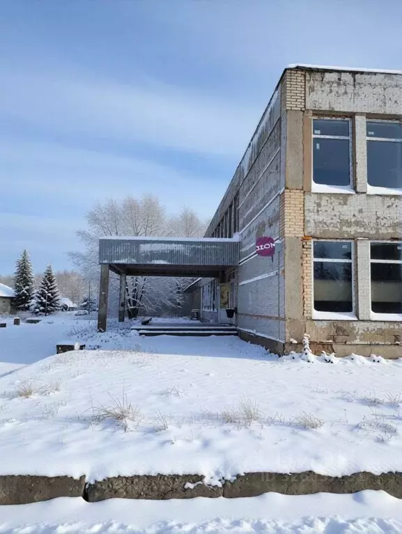 Помещение свободного назначения в Ленинградская область, Волосовский ... - Фото 1