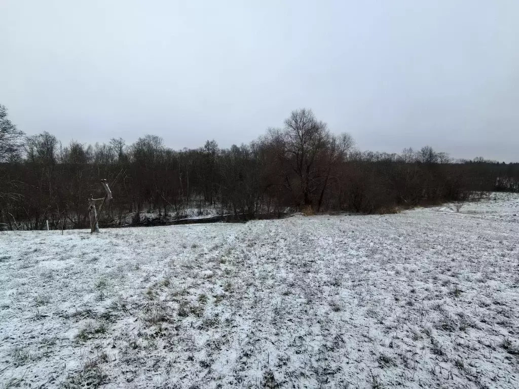 Участок в Московская область, Наро-Фоминский городской округ, д. ... - Фото 2