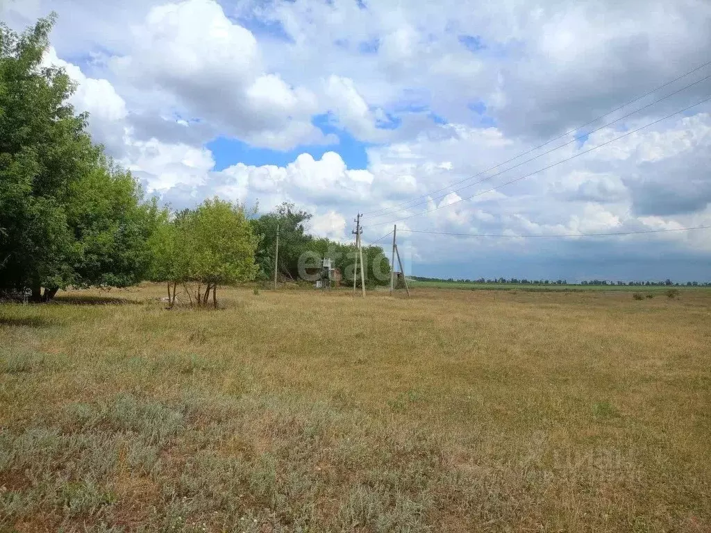 Участок в Воронежская область, Рамонский район, с. Горожанка ... - Фото 1