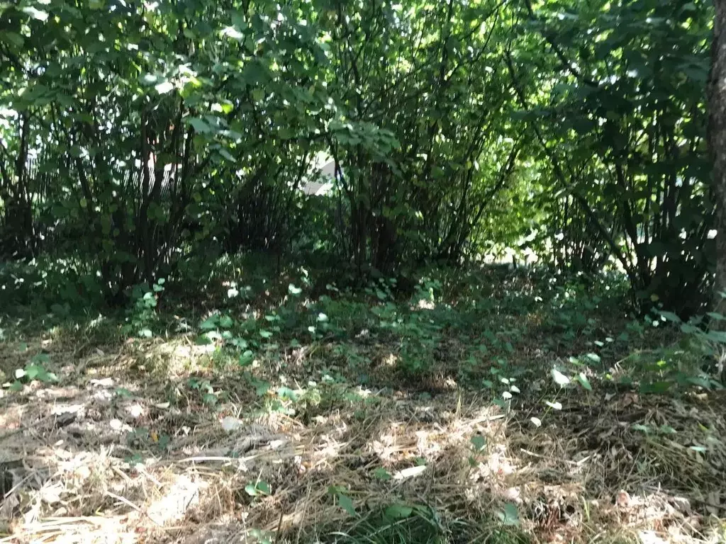 Участок в Краснодарский край, Туапсинский муниципальный округ, с. ... - Фото 0