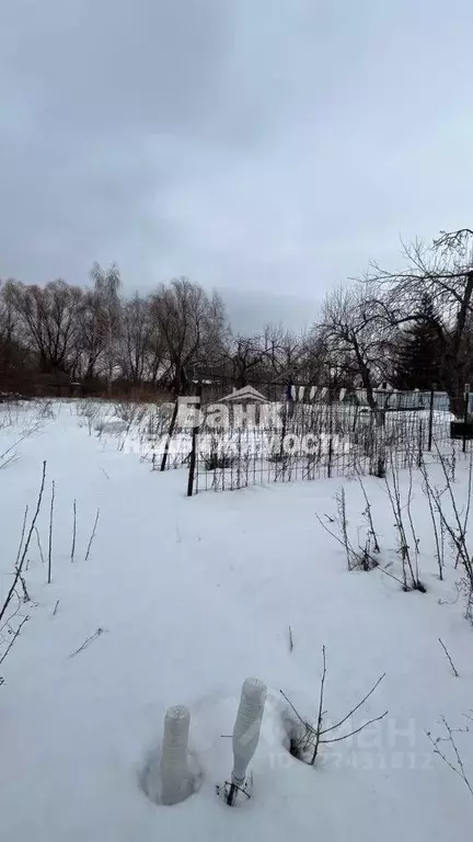 Участок в Саратовская область, Балаковский район, Натальинское ... - Фото 2