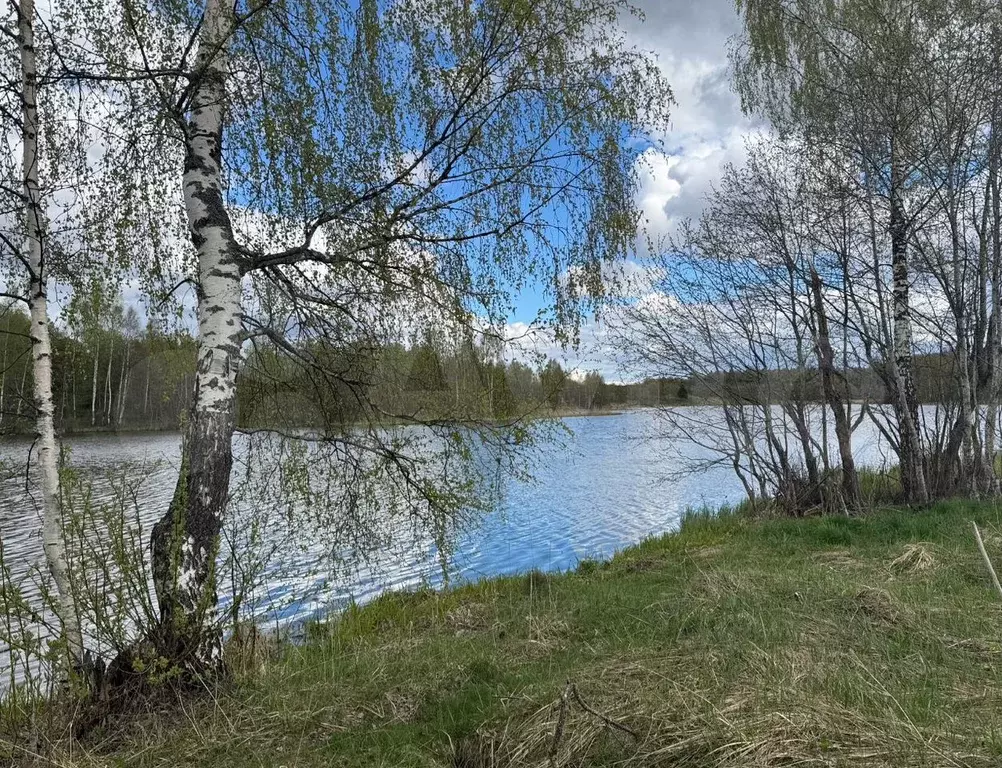 Участок 18 сот. (ИЖС) - Фото 0