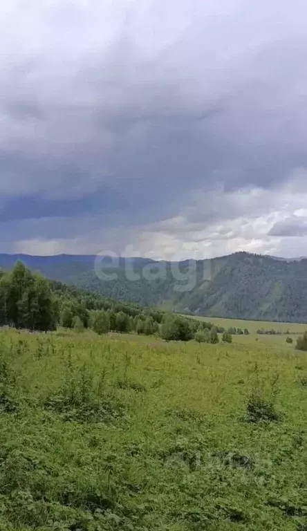 Участок в Алтай, Шебалинский район, с. Верх-Апшуяхта  (1690.34 сот.) - Фото 1