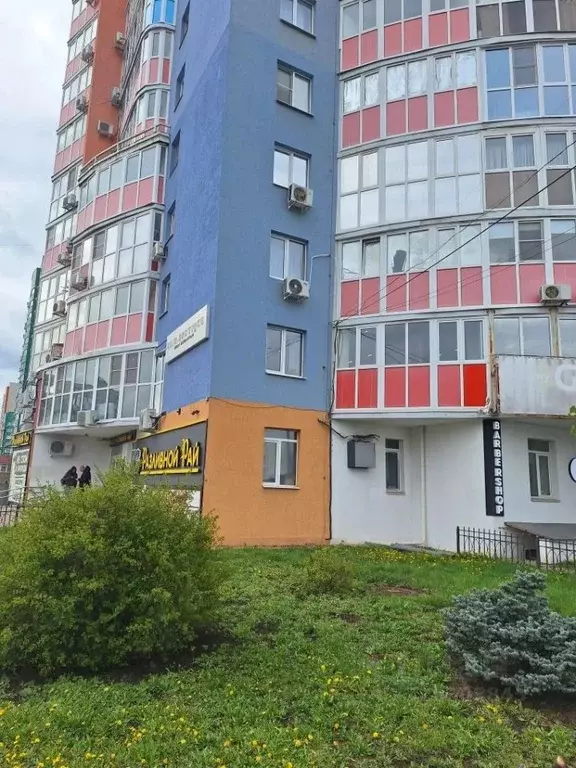 1-к кв. Воронежская область, Воронеж бул. Победы, 42 (38.6 м) - Фото 1