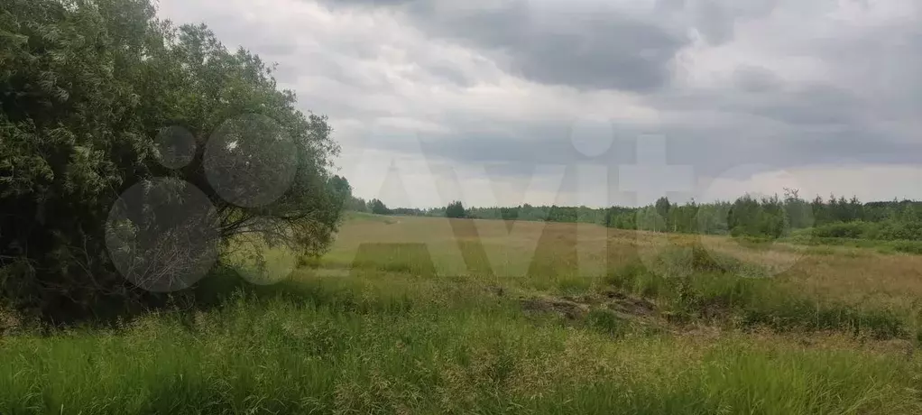 Участок 4 га (СНТ, ДНП) - Фото 0