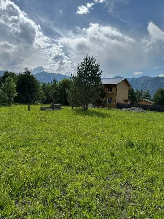 Участок в Алтай, Чемальский район, с. Чемал ул. Березовая, 19 (11.85 ... - Фото 2