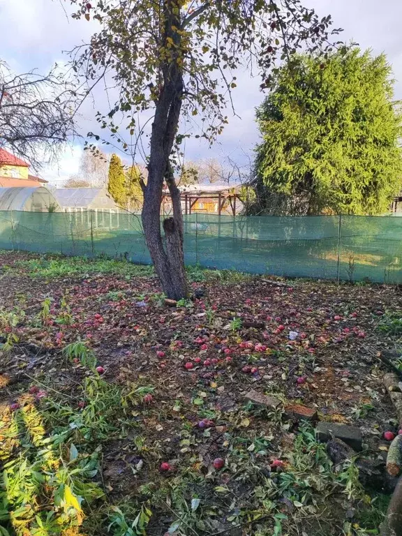 Дом в Нижегородская область, Нижний Новгород № 1 Малышево СНТ, 45 (60 ... - Фото 2