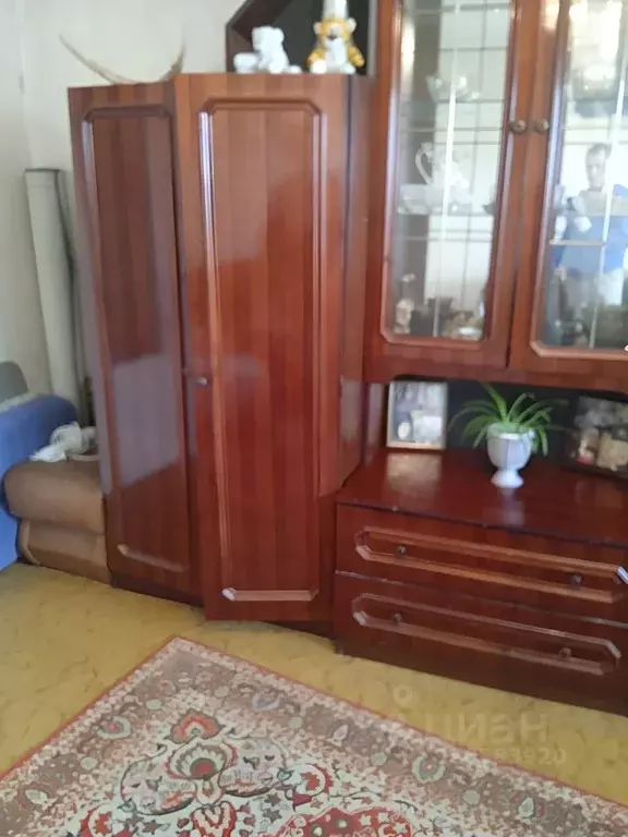Комната Тюменская область, Тюмень ул. Пермякова, 48/2 (20.0 м) - Фото 1