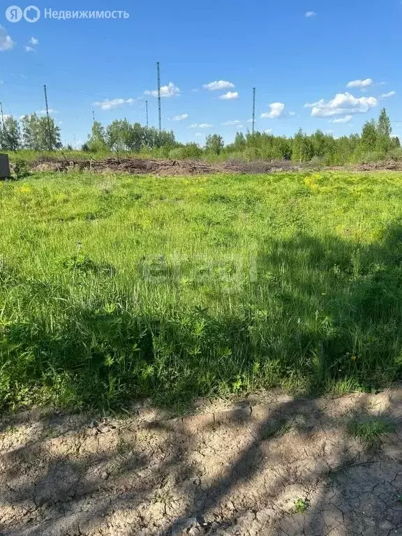 Участок в Московская область, городской округ Клин, садовое ... - Фото 0
