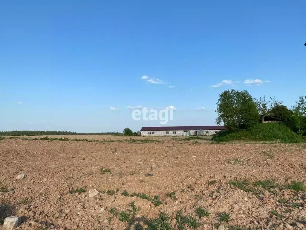 Участок в Ленинградская область, Гатчинский муниципальный округ, пос. ... - Фото 1