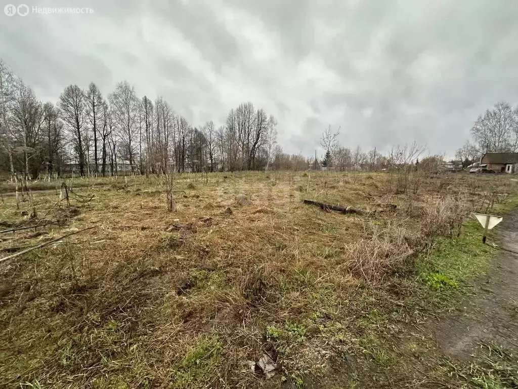 Участок в село Борисоглеб, Прудовая улица (19.5 м) - Фото 1