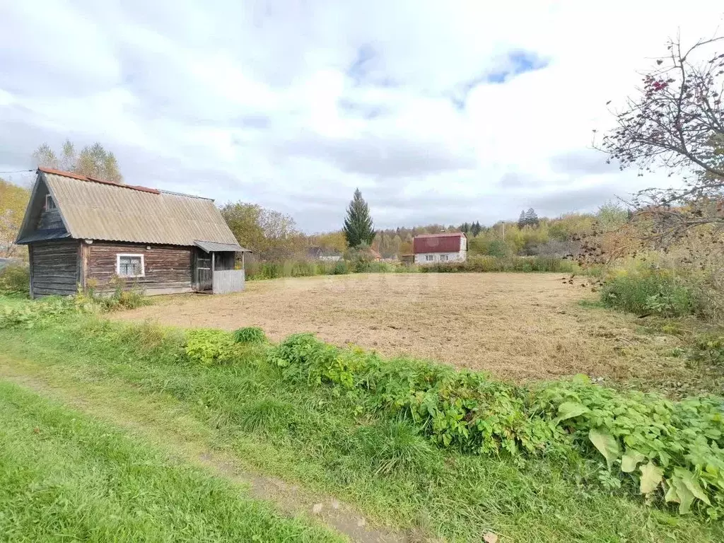 Участок в Марий Эл, Медведевский район, Руэмское с/пос, Лавровка СНТ  ... - Фото 2