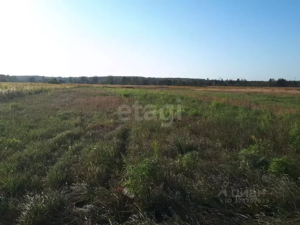 Участок в Брянская область, Брянский район, Добрунское с/пос, д. ... - Фото 1