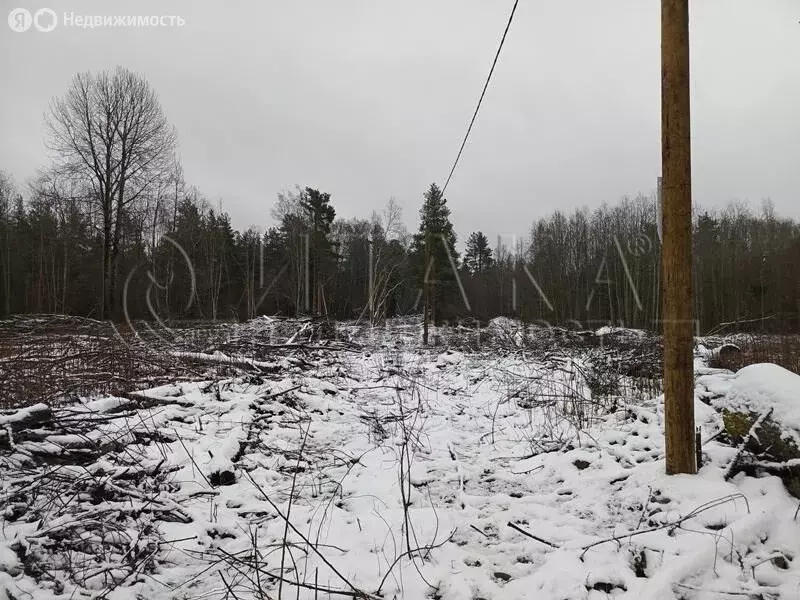 Участок в Приозерский район, Ларионовское сельское поселение, посёлок ... - Фото 1