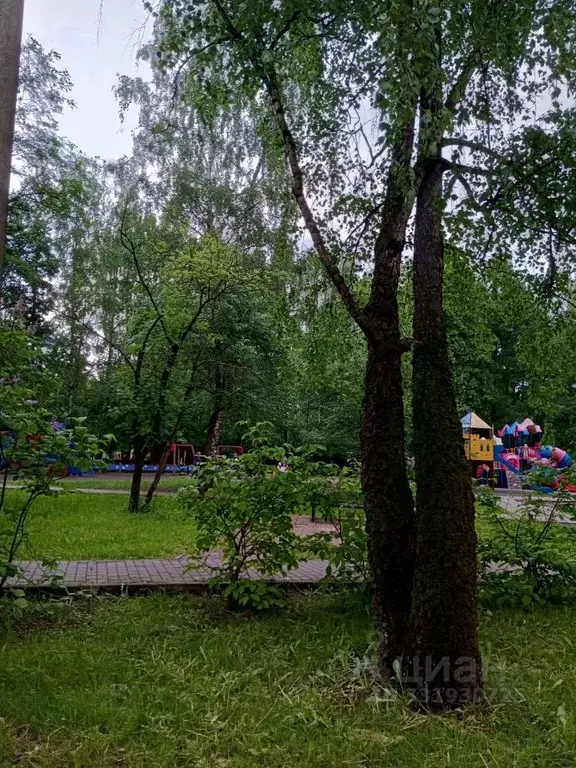1-к кв. Московская область, Красногорск ул. Кирова, 30 (33.0 м) - Фото 2